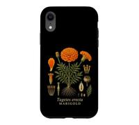 Marigold Botanical Anatomy Vintage Floral Nature Study Case for iPhone XR