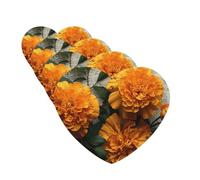 Marigold Car Air Fresheners Cards Set of 4 Pieces,Long-Lasting Car Aromatherapy Tablets Hanging Scented Cards for Wardrobe Bathroom Rearview Mirror Hanging Ornament