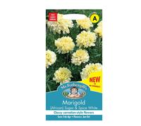 Marigold Seeds Grow Your Flowers Sugar & Spice White Mr Fothergill's