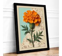 Marigold Study Botanical Framed Wall Art Print A2 (59.4×42cm) Black, Wall Decor for Living Room, Bedroom, Office & Home, Ready to Hang, Art Gift