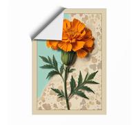 Marigold Study Botanical Unframed Wall Art Print A2 (59.4×42cm), Wall Decor for Living Room, Bedroom, Office & Home, Art Gift