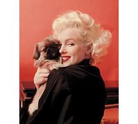 Marilyn Monroe Love Canvas Print, Multi-Colour, 40 x 50 cm