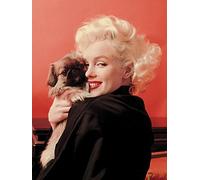 Marilyn Monroe Love Canvas Print, Multi-Colour, 60 x 80 cm