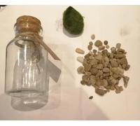 Marimo Moss Ball in Glass Jar - Multi Size & Gravel Colours - Terrarium Kit - Fresh Live Aquatic Aquarium Pet Gift (12cm Jar - Natural Gravel)