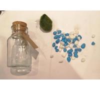 Marimo Moss Ball in Glass Jar - Multi Size & Gravel Colours - Terrarium Kit - Fresh Live Aquatic Aquarium Pet Gift (12cm Jar - White & Blue Gravel)