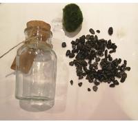 Marimo Moss Ball in Glass Jar - Multi Size & Gravel Colours - Terrarium Kit - Fresh Live Aquatic Aquarium Pet Gift (12cm Jar - Black Gravel)
