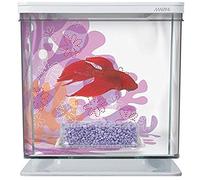Marina Betta Aquarium Starter Kit, Flower
