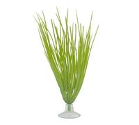 Marina Betta Kit Hairgrass Aquarium Plant - 12.7cm