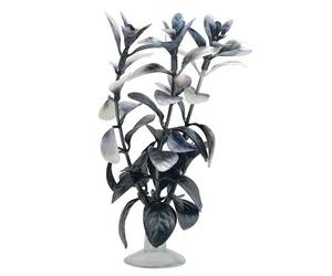 Marina Betta Kit Red Ludwigia Aquarium Plant - 12.7cm