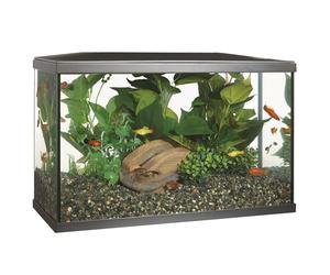 MARINA LUX LED AQUARIUM KITS 19L 38L 75L INTEGRATED LIGHTING FILTER FISH TANK