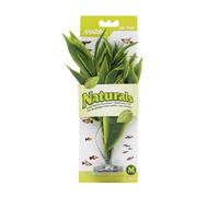 Marina Natural Dracena Silk Plant, Medium, 23 x 25.5 cm, Green