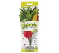 Marina Natural Dracena Silk Plant, Medium, 23 x 25.5 cm, Red/ Yellow