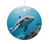 Marine Animal Double-Sided Ceramic Christmas Ornaments - Round Hanging Mini Xmas Tree Decorations, Ideas for Farmers, Rustic Home Decor for Indoor Outdoor Tree Decor