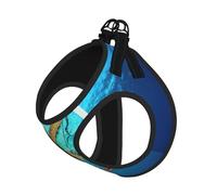 Marine Biology Printing Puppy Summer Vest Harness With Reflective,Dog Accessories For Small Medium Large Dogs And Cats