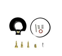 Marine Carb Repair Carburetor Repair Kit For Suzuki 15HP DT15 DT9.9 DF15 DF9. Boat Engine 2 Stroke Marine Outboard Carb Rebuild Kits Outboard Motor Rebuild Set