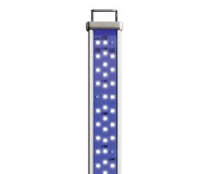 Marine LED bulb Aquarium Systems Proten