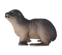 Marine Life Animal Figures, Highly Simulation Sea Creature Model Set, Educational Role Playing Games, Ideal for Boys, Girls & Young Explorers