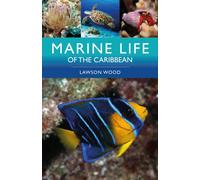 Marine Life of the Caribbean