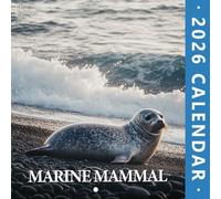 Marine Mammal 2026 Wall Calendar: A sweeping view of ocean giants, playful pods, and graceful swimmers