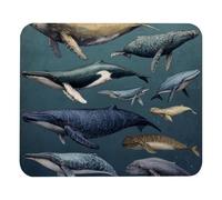 Marine Mammals with Whales (3) Mousepad, Gaming Mouse Pad, Desk Mat, Rubber Base Mouse Mat, Computer Keyboard Desk Pad for Work, Game, Office, Home