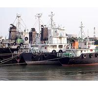 Marine Megavertebrates and Their Fisheries