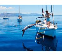 Marine Rope Ladder for Boat Motorboat Catamaran 8 ft | Polyester Reflective Rope Ladder | Multi-Purpose Rope ladders with Carabiners