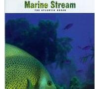 Marine Stream - Atlantic Ocean