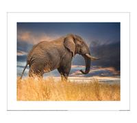 Mario Moreno The Elephant Paper Print Mario Moreno Multicolor