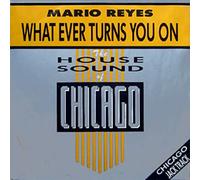 Mario Reyes - Mario Reyes: What Ever Turns You On [12" Maxi]