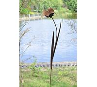Marissa's Garden & Gift Rusty Amaryllis 120cm