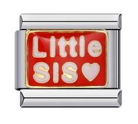 MARJS Coffee Little Big Sister Flower Red Boxer Hobby Silver Italian 9mm Link Stainless Steel Modular Compatible With Bracelet (Little Sis Sister Love Heart Big Gift)