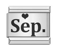 MARJS Sep September Birthday Month Age Birth Date Silver Italian 9mm Link Stainless Steel Compatible With Modular Bracelet