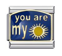 MARJS Sunflower Rose Camelia Flower Silver Italian 9mm Link Stainless Steel Modular Compatible With Bracelet (Gold Blue You Are My Sunshine Love)