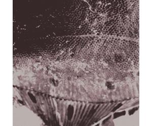 Mark IJzerman - Flounder Maps [VINYL]