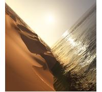 Mark Pritchard : Under the Sun VINYL 12" Album 2 discs (2025) NEW