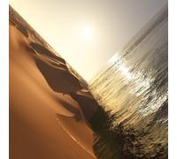 Mark Pritchard - Under The Sun [VINYL]