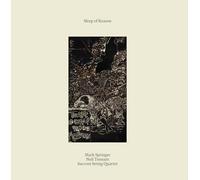 Mark Springer - Sleep of Reason [VINYL]