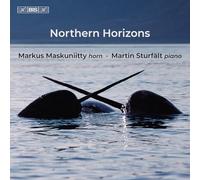 Markus Maskuniitty; Martin Sturfalt - Northern Horizons