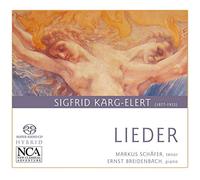 Markus Schafer E Breidenbach - Karg-Elert: Lieder