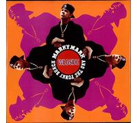 Marky Mark & The Funky Bunch - Wildside [VINYL]
