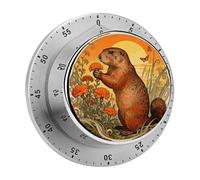 Marmot Marigold Patch Kitchen Timer 60 Minute Visual Wind Up Timers Indoor Mechanical Timers with Magnetic Base Stainless Steel Timer for Home Cooking Time Management Tool