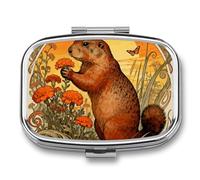 Marmot Marigold Patch Pill Box Travel Pill Organizer 2-Compartment with Mirror Design Portable Square Medicine Case for Vitamins, Jewelry & Essentials Durable Pocket Pillcase for Purse, Camping