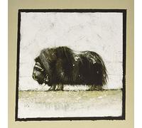 Maroccolo Gianni - Alone Volume 1 [VINYL]
