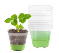 Marooma 12 Pcs Clear Nursery Pots for Plants, Plastic Seeding Pots Flower Pots with 8 Drainage Holes, 3.1 Inch Small Plant Pots with Silicone Base for Succulents, Small Herbs (A)
