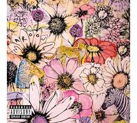 Maroon 5 – JORDI – Vinyl – Deluxe Edition (US import, Interscope)