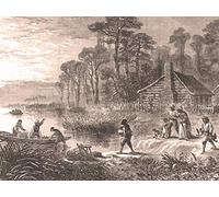 Maroons: Those Who Escaped