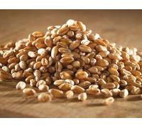 Marriage's Cleaned Feed Wheat, 20kg