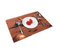 mars planet Print Practical Placemats Dining Table Set Washable Non-Slip Tables Mats Kitchen Decor