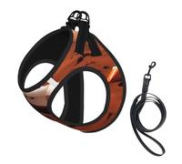 Mars Planet Printing Dog Summer Harness With Leash Set,Adjustable And Reflective Step-In Puppy Pet Vest Harnesses