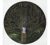 Mars Volta, the - The Widow [12" VINYL]